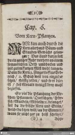 Cap. 6. Vom Kern-Pflantzen
