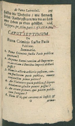 Caput Septimum De Poena Criminis fractae Pacis Publicae.