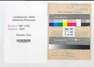 Entnazifizierung Carl Newels , geb. 19.02.1909 (Kaufmann)