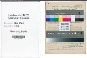 Entnazifizierung Maria Nienhaus, geb. 15.02.1889 ()