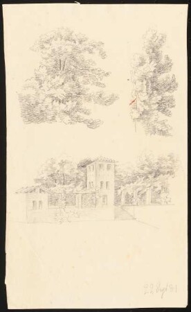 Gartenhaus mit Pergola und Baumzeichnungen: Perspektivische Ansichten