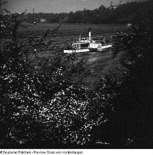 Elbe im Raum Dresden; Elbe Baumblüte Loschwitz