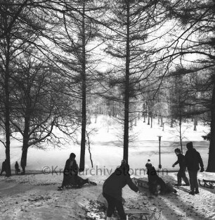 Kurpark: Kinder fahren im Winter Schlitten