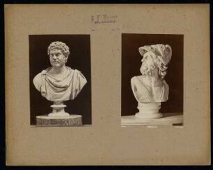 Vatikanische Museen (Apostolischer Palast), Rom: Antikensammlung, Büste eines bärtigen Mannes und von Menelaos