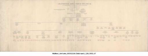 Stammbaum Delbrück
