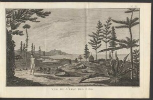Pl. 55 Vue De L'Isle Des Pins.