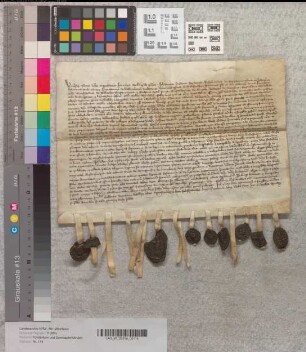 Urkunde des Mindener Domkapitels, betreffend die Bischofswahl Ludwigs von Braunschweig-Lüneburg.