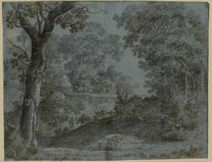 Waldlandschaft