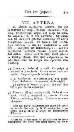 VII. Aptera