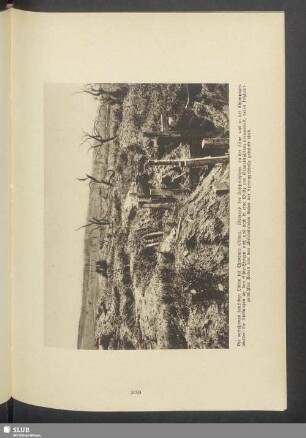 Die verlassenen deutschen Linien bei Chavonne (Aisne)