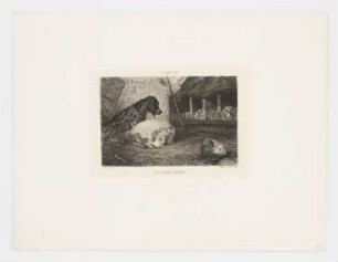 Les deux chiens