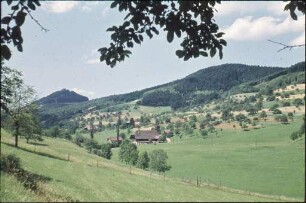 Burgruine Hohengeroldseck