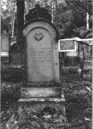Grabstein 586 (Index: 99895368) Material: Sandstein Zustand: gut, Sockel leicht bewachsen Maße HxBxT: 175x56x20 cm Beschreibung: Stele mit Rundbogenabschluss, kleiner Verdachung und Mittelakroter; Sockel Symbolik: Blüte: Grabstein 586 (1)