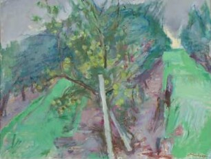 Obstplantage im Spätsommer