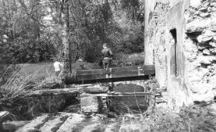 Malschwitz-Pließkowitz. Ehem. Mühle, Welle