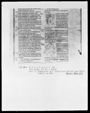 Bibel — Initiale E (cce ego), darin Köpfe, Folio 25recto