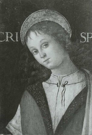 Der heilige Crispinus