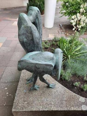 Pelikanpärchen