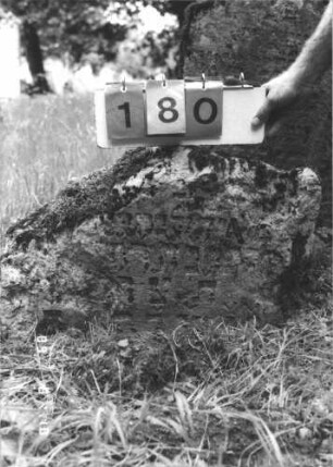 Grabstein 180 (Index: 99800058) Material: Sandstein Zustand: stark verwittert, Oberteil der Stele abgebrochen Maße HxBxT: 49x68x17 cm Beschreibung: Unterteil einer Stele: Grabstein 180