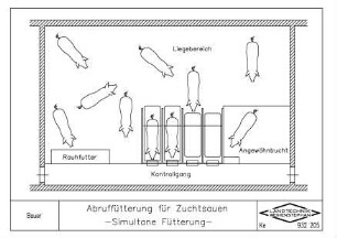 Abruffüterung für Zuchtsauen - Simultane Fütterung -