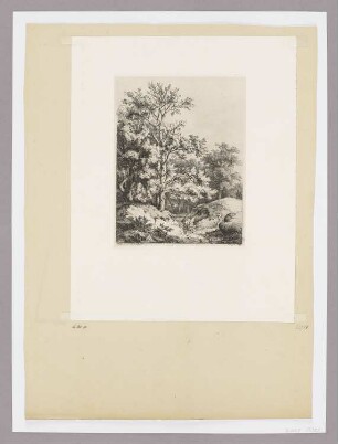 Tote Buche, Blatt 4 der Folge "Landschaften, nach der Natur radiert"