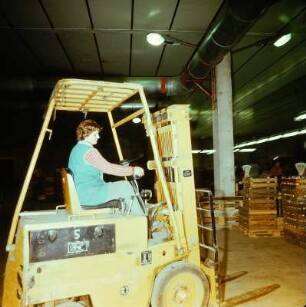 Maschinist für Transportmittel und Hebezeuge