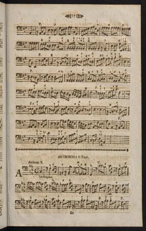 Antiphona V.
