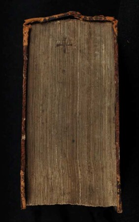 De exemplis et similitudinibus rerum