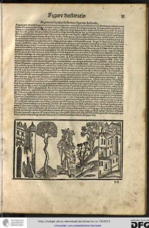 Figure declaratio