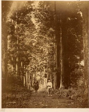 Hakone