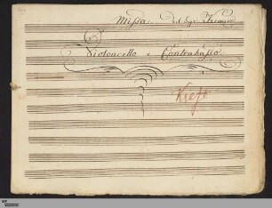 Violoncello und Kontrabass