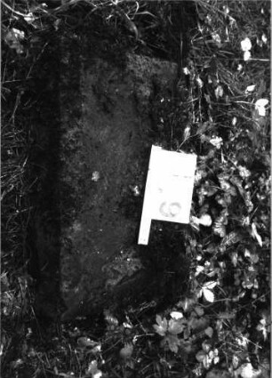 Grabstein 169 (Index: 99897901) Zustand: liegend, Fragment: Grabstein 169