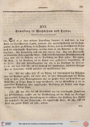XVI. Erweckung in Wachsthum und Textur