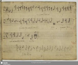 Lasso, Orlando di: Alleluia vox laeta personat