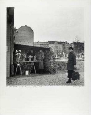 Ein paar Blumen in den Trümmern, Berlin 1954