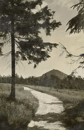 Zittauer Gebirge. Blick zur Lausche vom Kamm