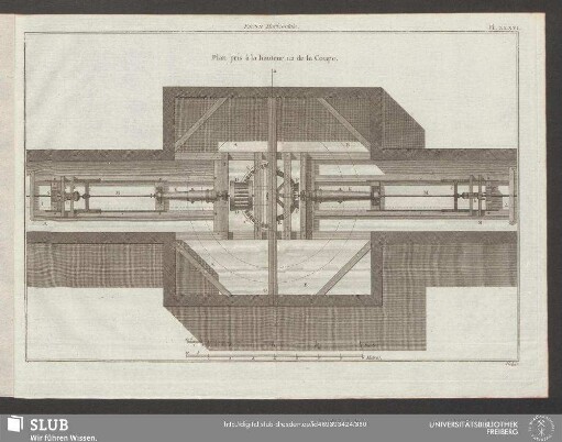 Pl. XXXVI. Forerie Horizontale