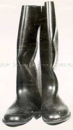 Herrenstiefel (1 Paar)