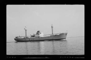 Morsum (1950), Nordfriesische Reederei
