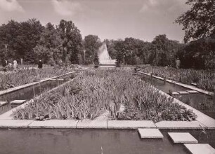 Großer Garten : Reichsgartenschau, Irisgarten mit Blick zur Wasserkunst
