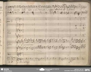 Aria: "Modesto mi guardava" in G-Dur (Beginn)