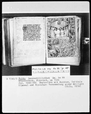 Stundenbuch — Versammlung aller Heiligen, Folio 185recto