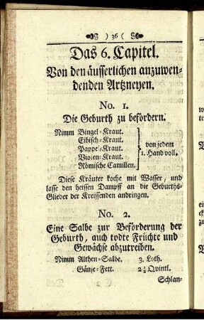 Das 6. Capitel. Von den äusserlichen anzuwendenden Artzneyen.