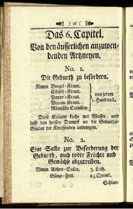 Das 6. Capitel. Von den äusserlichen anzuwendenden Artzneyen.