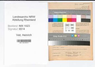 Entnazifizierung Heinrich Veit , geb. 06.02.1892 (Steuerhelfer)