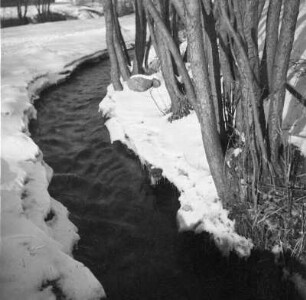 Winterbilder. Wasserlauf und Gesträuch im Schnee