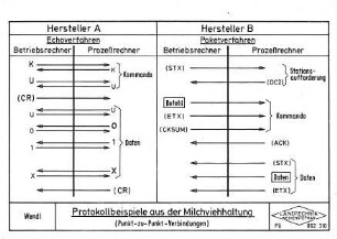 Protokollbeispiele aus der Milchviehhaltung (Punkt-zu-Punkt-Verbindungen)