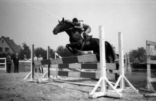 Warendorf, Freiherr-von-Langen-Straße 13. Reitsportanlage des Deutschen Olympia-Komitees für Reiterei. Reitplatz. Pferd beim Sprung über ein Hindernis