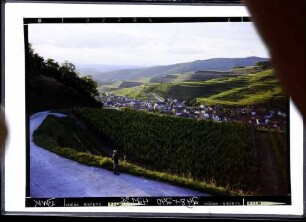 Bickensohl: Weinbergweg oberhalb Bickensohl
