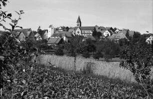 Göschweiler: Blick auf Göschweiler, Vordergrund Kornfeld